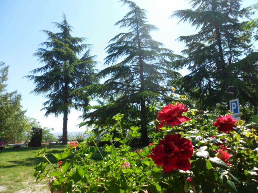 Agriturismo La Quiete Roncofreddo Exteriör bild